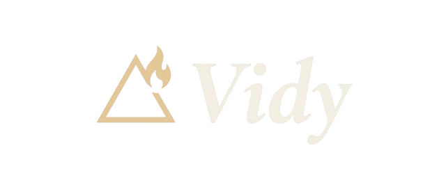 Vidy